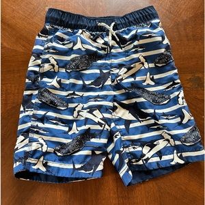 Gap boys swim trunks M or girls, I mean girls like sharks too